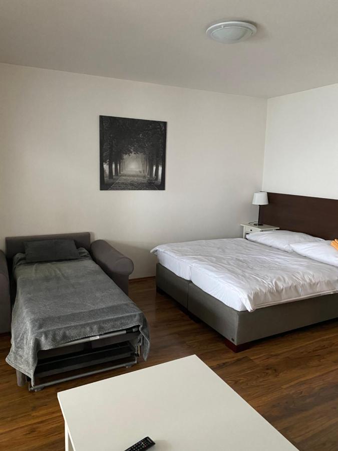 Apartman Viktoria 5 Rużomberk Zewnętrze zdjęcie